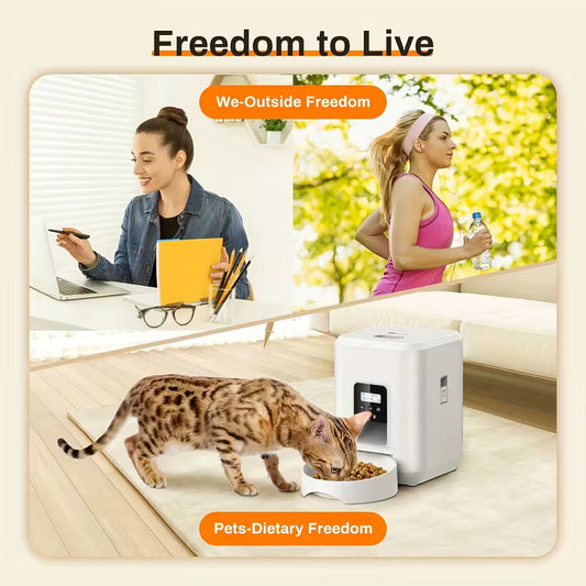 2L Automatic Pet Feeder Cat Dog Dry Food Dispenser Touch Screen Pet Cat Feeder Automatic feeder for Dog And cat