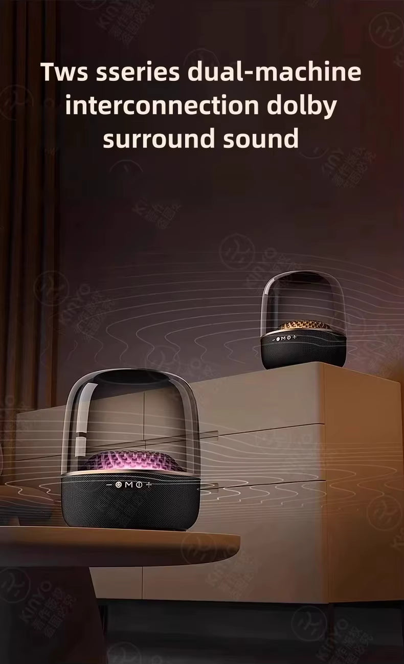 LP90 Portable Wireless Speaker