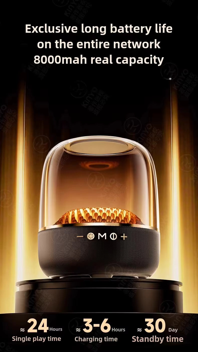 LP90 Portable Wireless Speaker