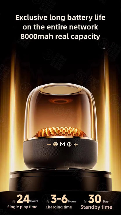 LP90 Portable Wireless Speaker