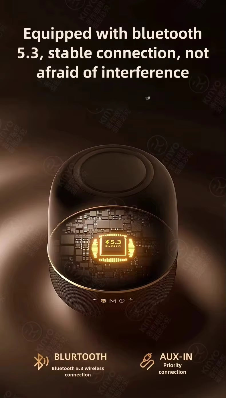 LP90 Portable Wireless Speaker